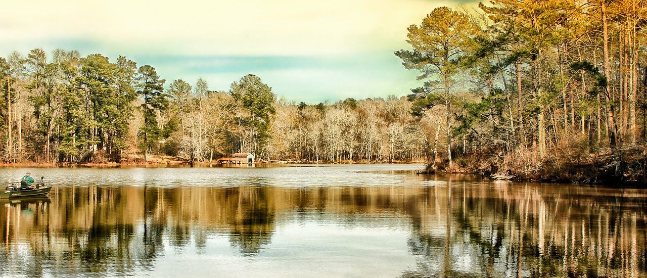 Frequently Used Terms